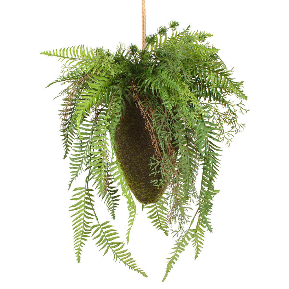 Moana kokedama gemengd hangen