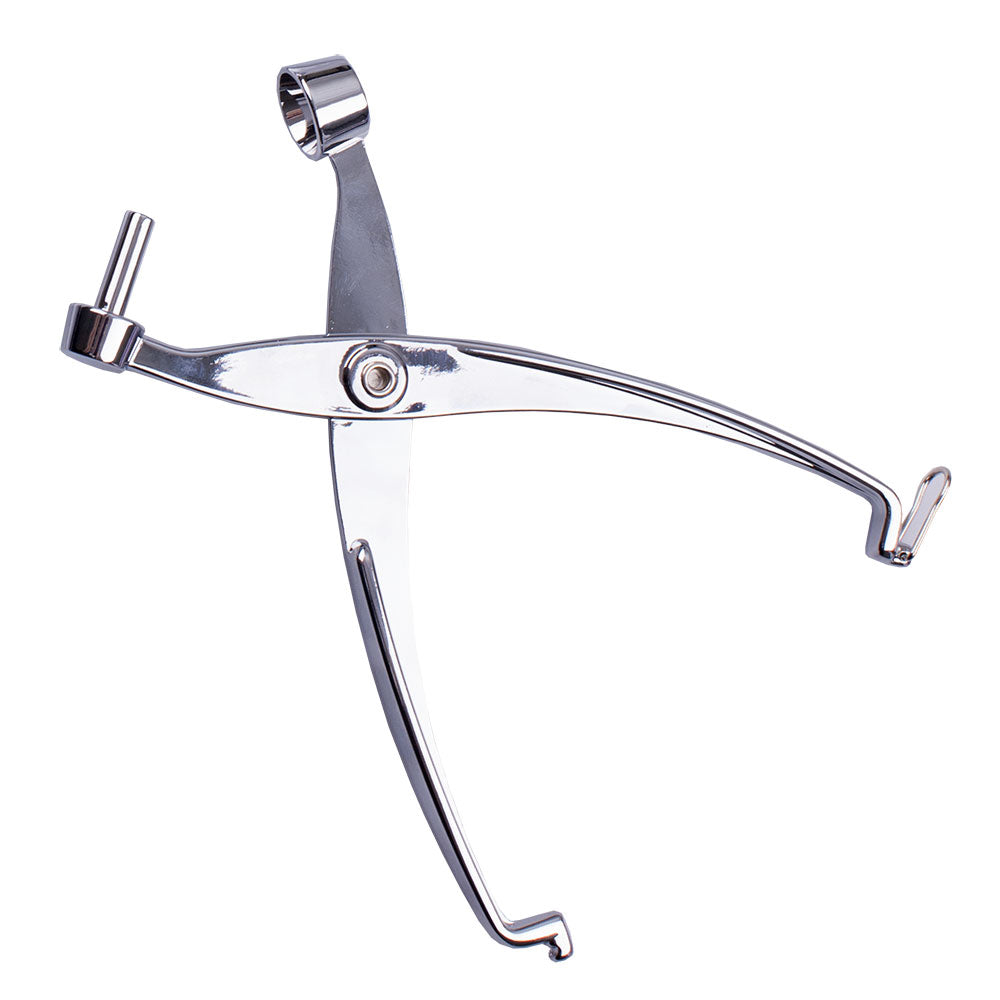 Appetito Alloy Cherry/Olive Pitter