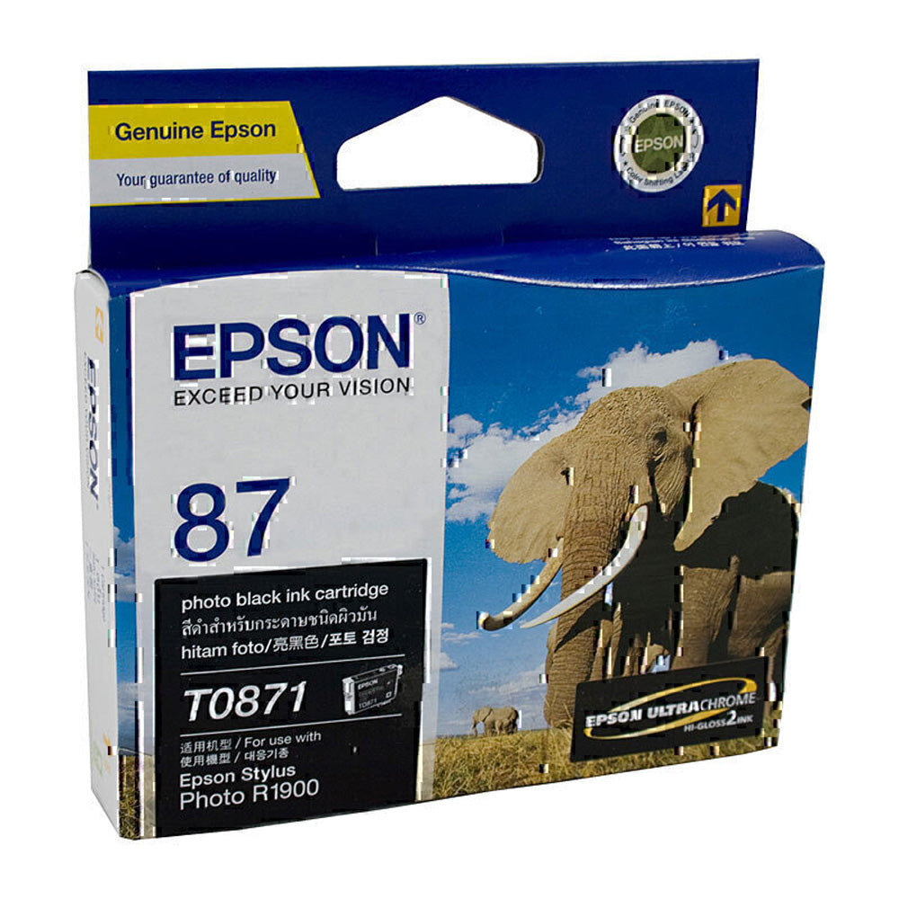 Cartucho de tinta Epson T087