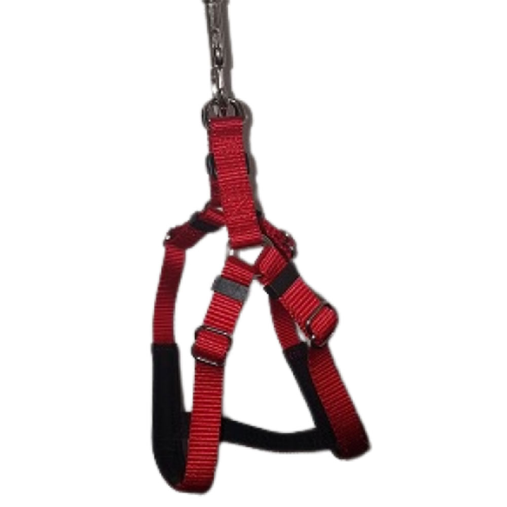 Comfy Pet Harness (stor)