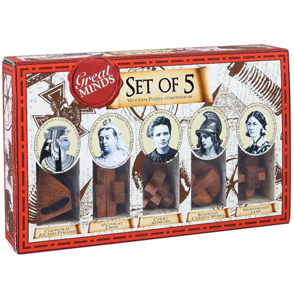 Great Minds Wood＆Metal Brainteaser Puzzle 5pcs