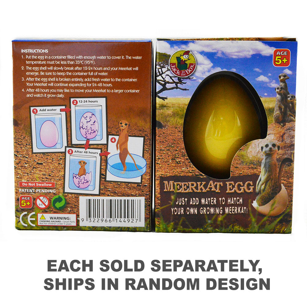 Pet Pet Egg (1 st willekeurige stijl)