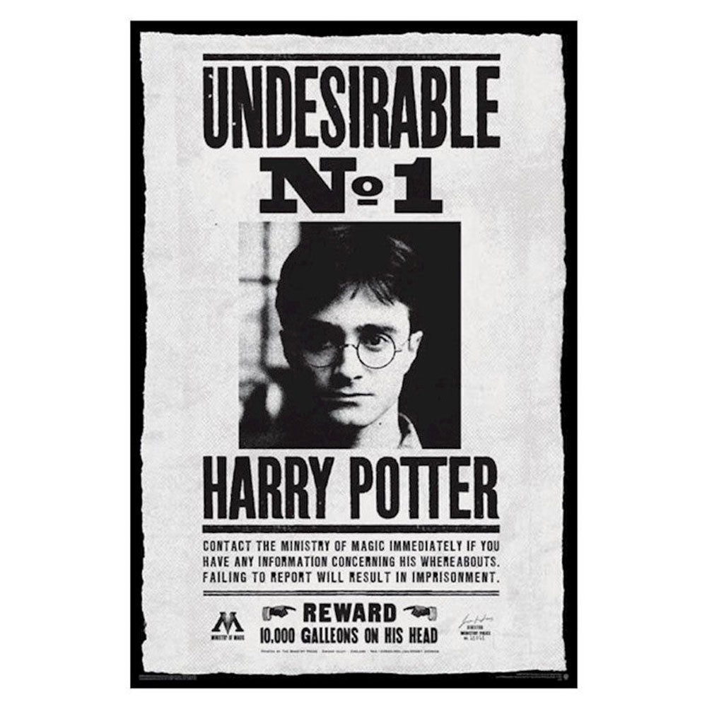 Poster di Harry Potter