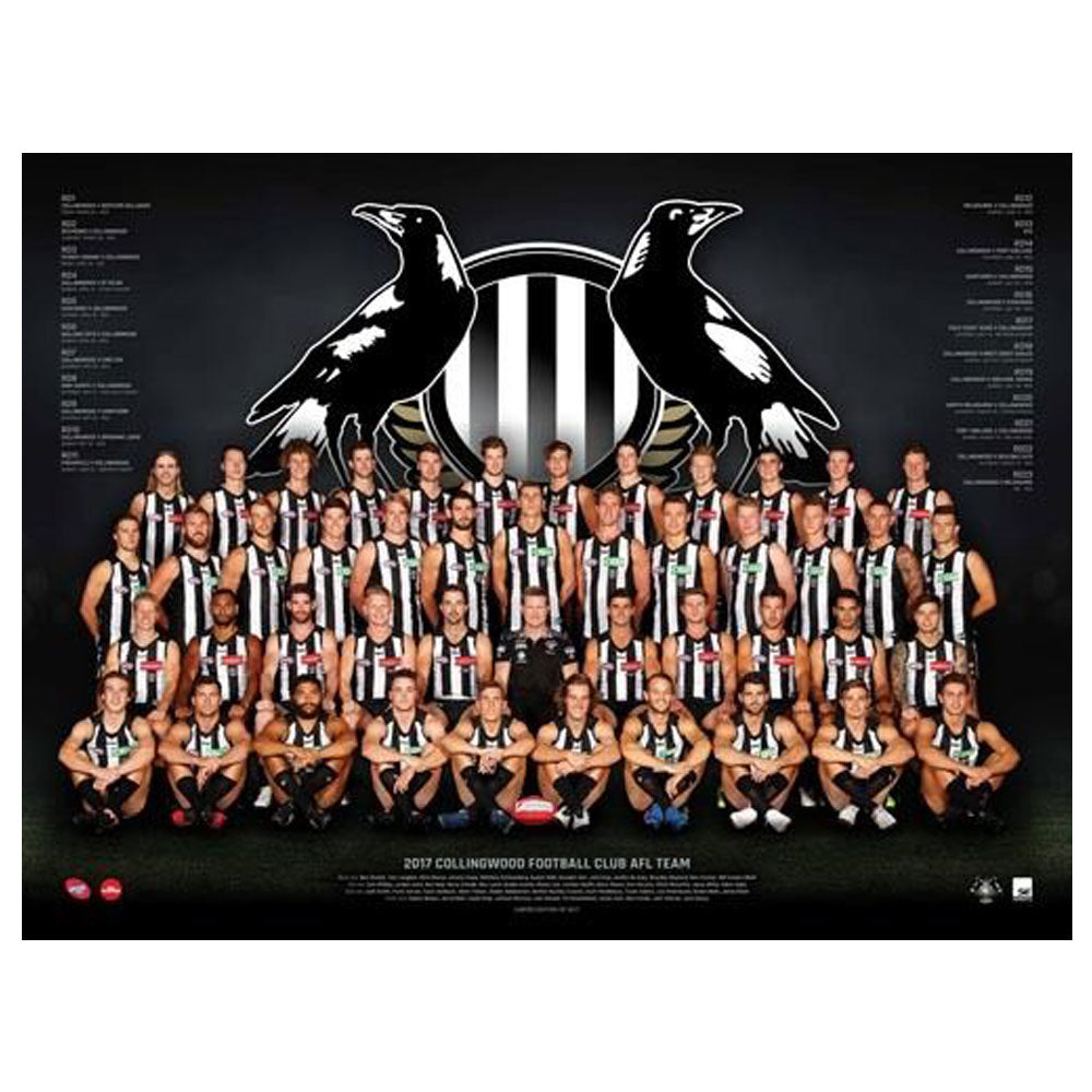 AFL 2017 Team Poster