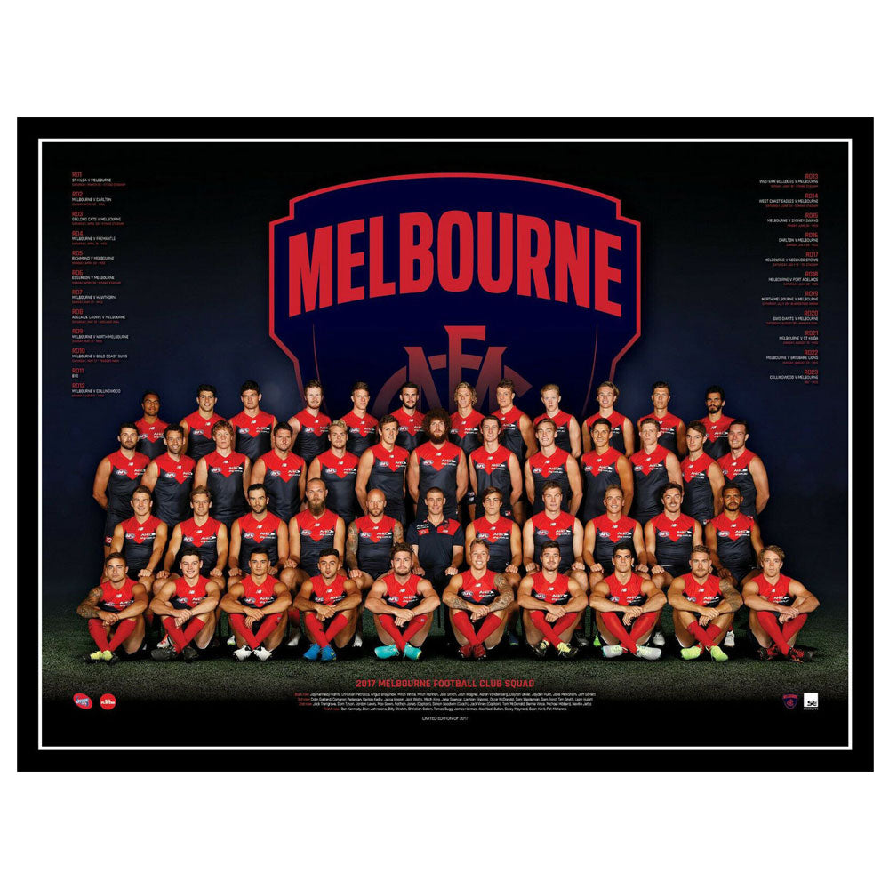 Póster del equipo AFL 2017