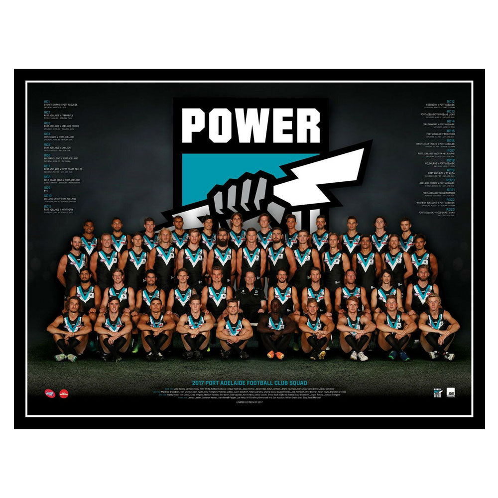 Pôster da equipe da AFL 2017