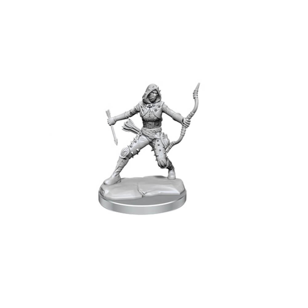 D&D Frameworks Miniature Model Kit