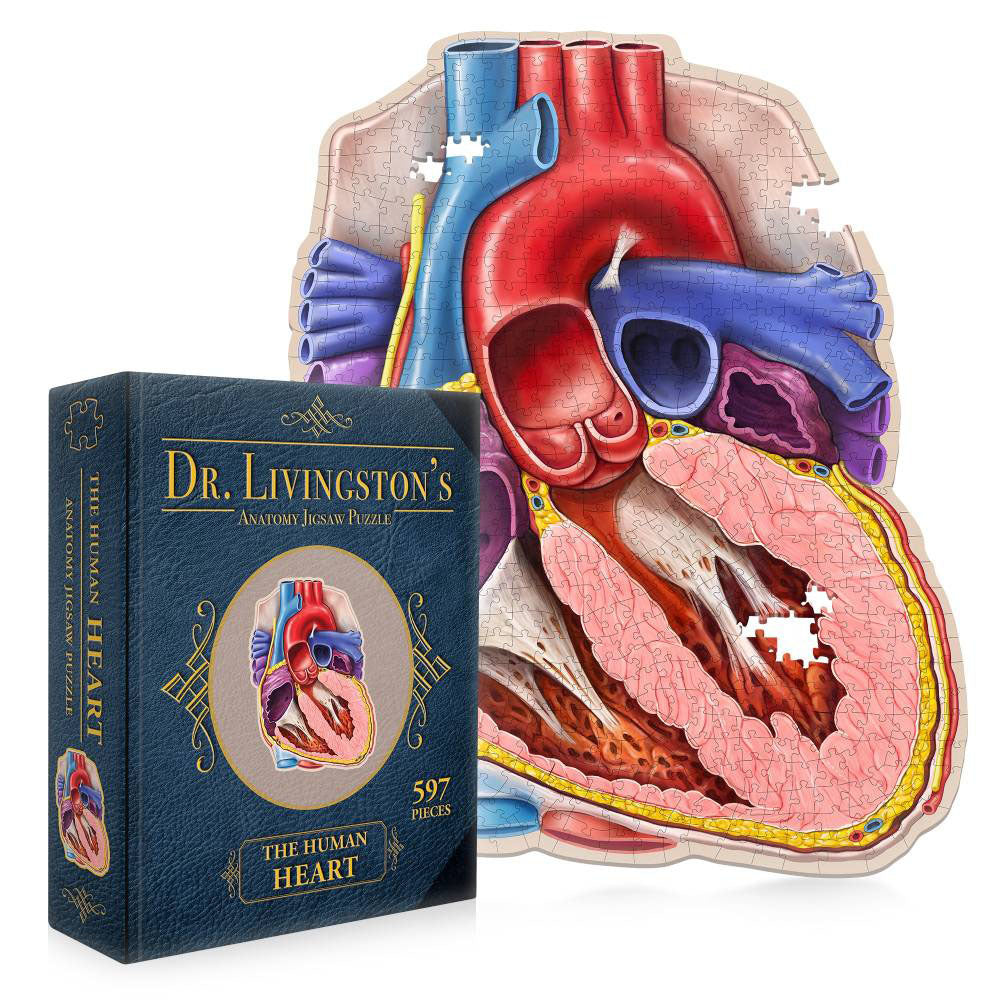 Dr Livingston's Anatomy Jigsaw Puzzle