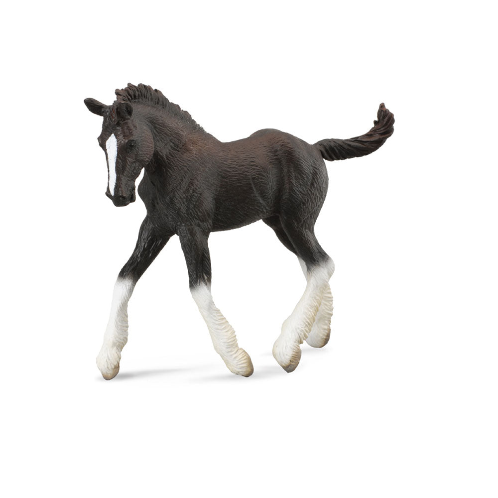 Collecta Shire Horse Foalフィギュア（ミディアム）