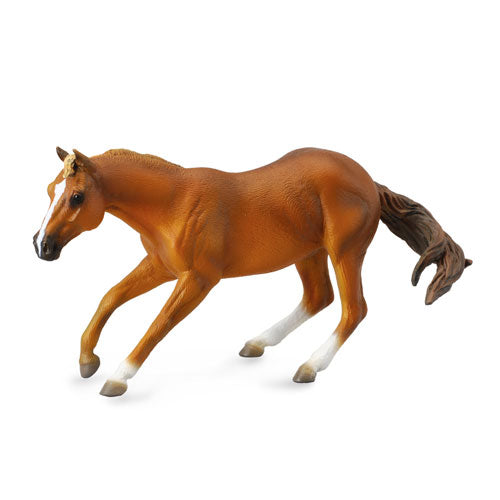 CollectA Quarter Stallion Figure (Extra Large)