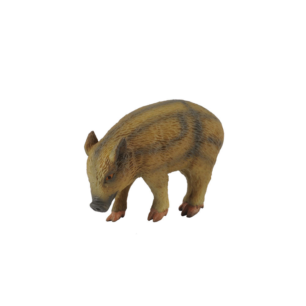 Collecta Wild Pigletフィギュア（小）