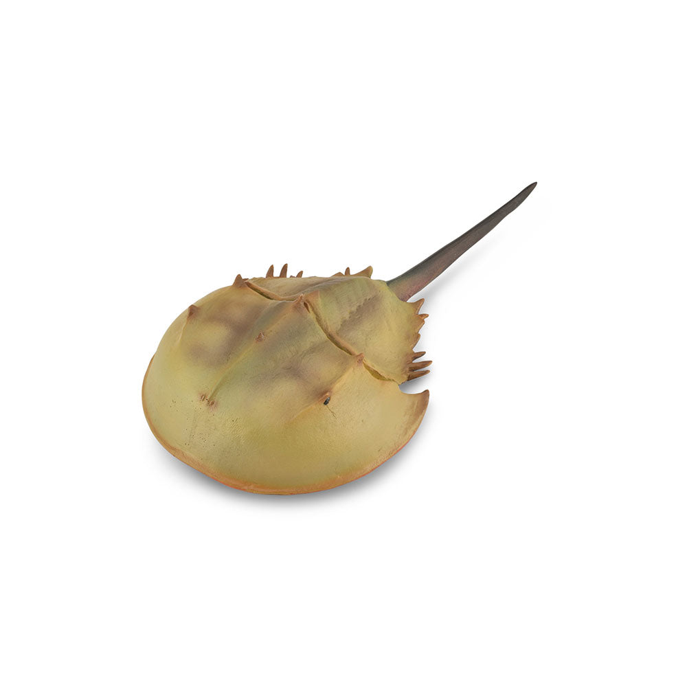 CollectA Horseshoe Crab Figure (Extra Large)