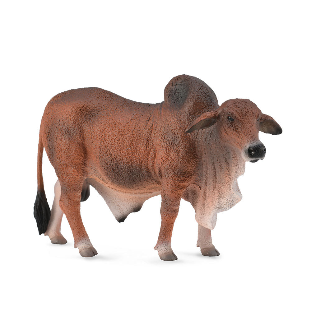 Collecta Brahman Bull Figure（大）