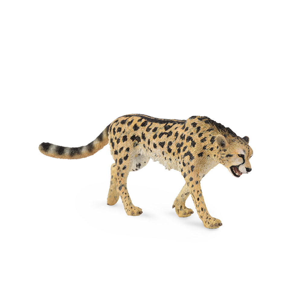 CollectA King Cheetah Figure (Large)