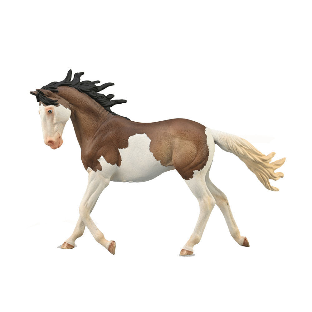 Figura di colletto Mustang Mare Bay (extra grande)