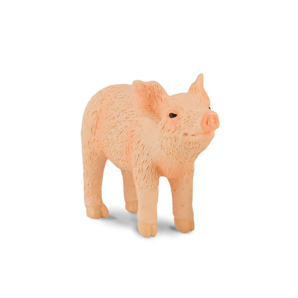 Collecta Piglet Figura (pequeña)