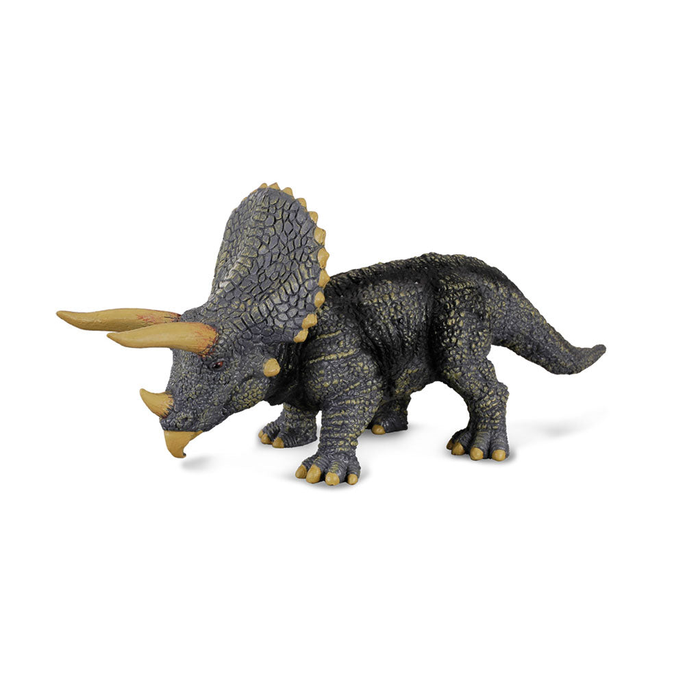 Figura dinozaurów collecta Triceratops