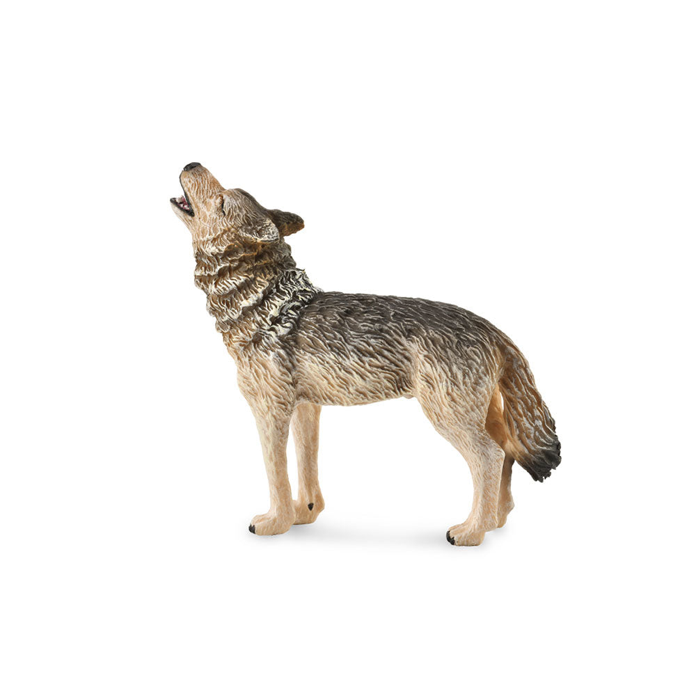 Collecta Timber Wolf Figur (Medium)