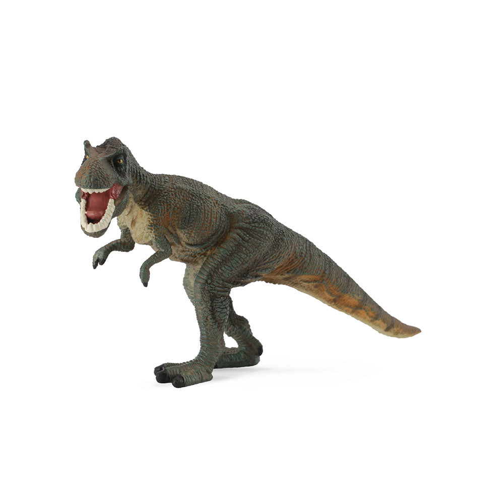 CollectA Tyrannosaurus Rex Dinosaur Figura (grande)