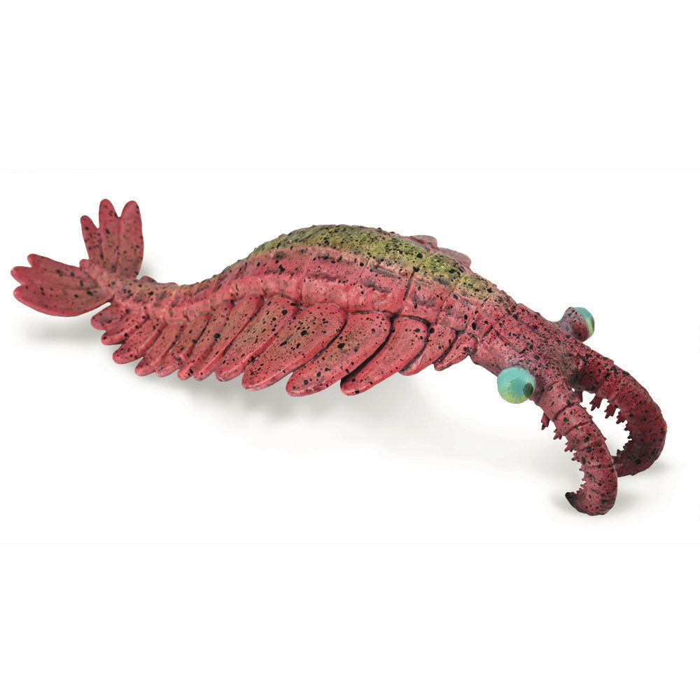 CollectA Anomalocaris Dinosaur Figure (Large)