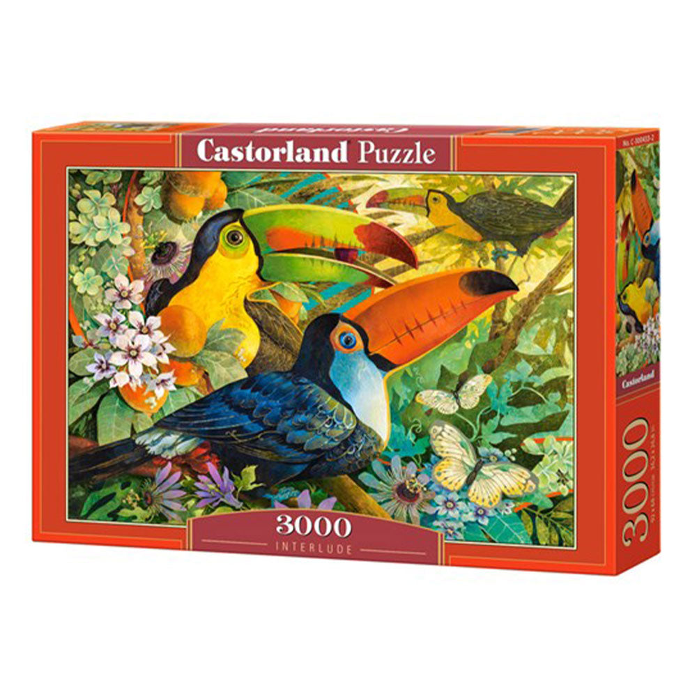 Castorland Classic Puzzle 3000st