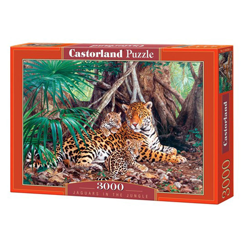 Castorland Classic Puzzle 3000st