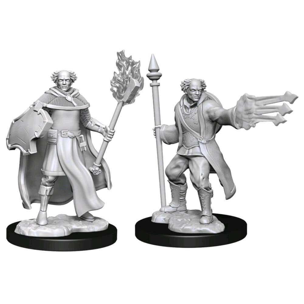 D&D Nolzur's Minis Multiclass Cleric Wizard Male