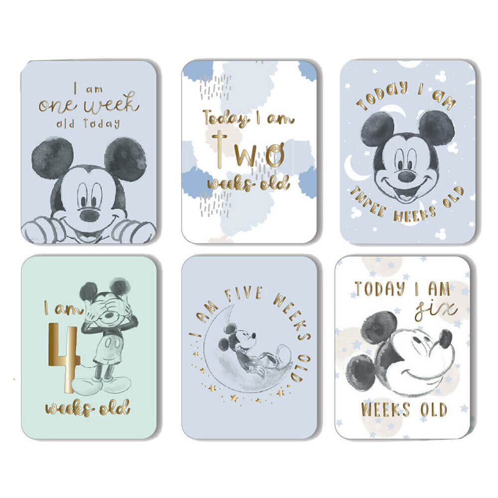 Disney Gifts Milestone Cards (24 stcs)