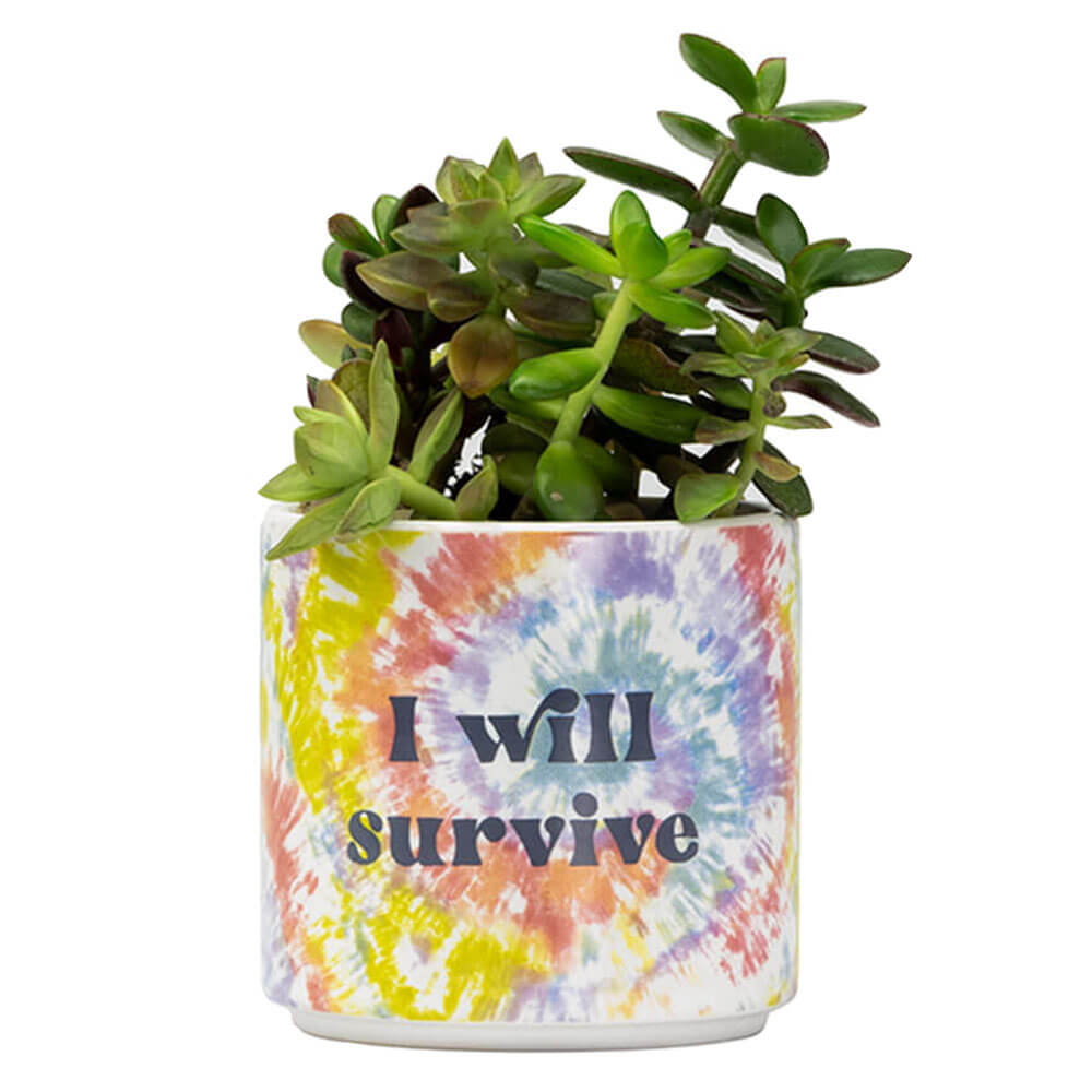 Tie Dye Planter (liten)