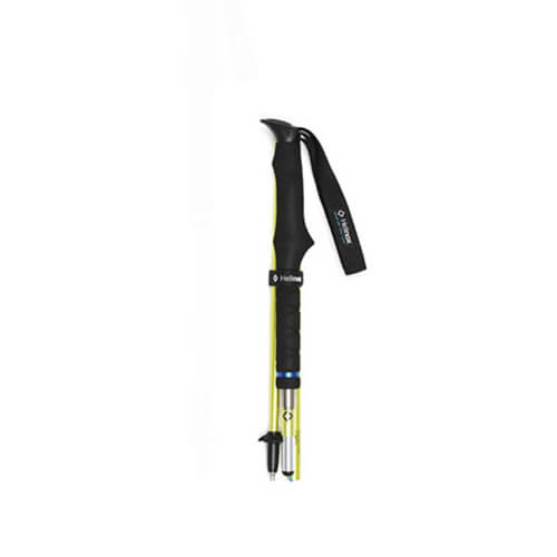 Fl120 Walking Poles Passport