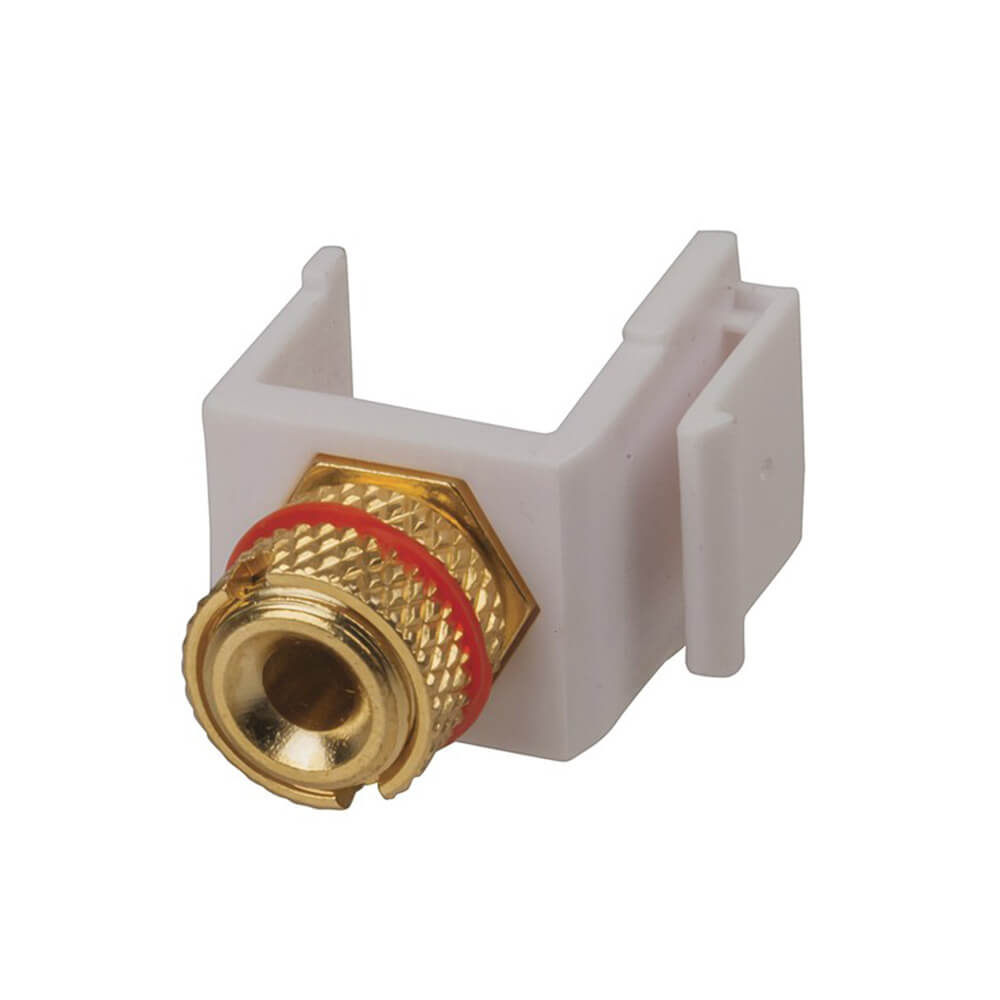 Keystone Insert Banana Socket (Gold)