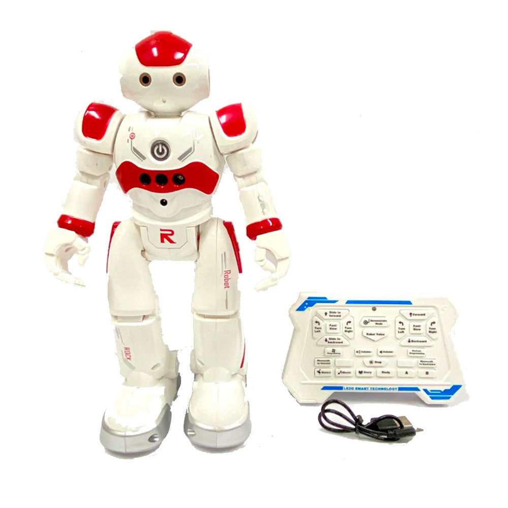 Intelligente R/C Sensor Robot